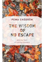 Wisdom of No Escape