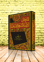 دكتاتورية رماد