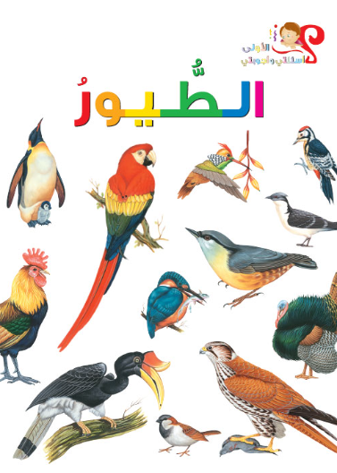 الطيور