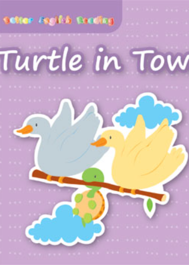 Turtle In Town