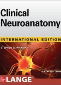 Clinical Neuroanatomy, 29e