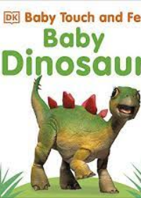 Baby Touch and Feel Baby Dinosaur