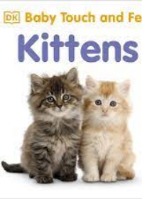Baby Touch and Feel Kittens