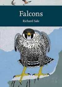 Falcons