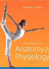 Fundamentals of Anatomy & Physiology, 9ed